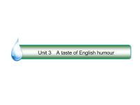 2021版高考英语（课标通用）大一轮复习课件：必修四 Unit 3 A taste of English humour