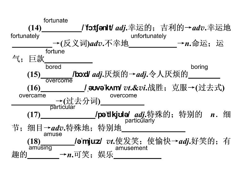 2021版高考英语（课标通用）大一轮复习课件：必修四 Unit 3 A taste of English humour08