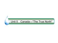 2021版高考英语（课标通用）大一轮复习课件：必修三 Unit 5 Canada—“The True North”