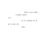 2021版高考英语（课标通用）大一轮复习课件：选修八 Unit 5 Meeting your ancestors