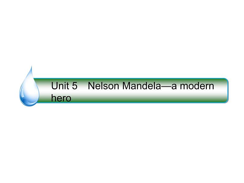 2021版高考英语（课标通用）大一轮复习课件：必修一 Unit 5 Nelson Mandela—a modern hero01