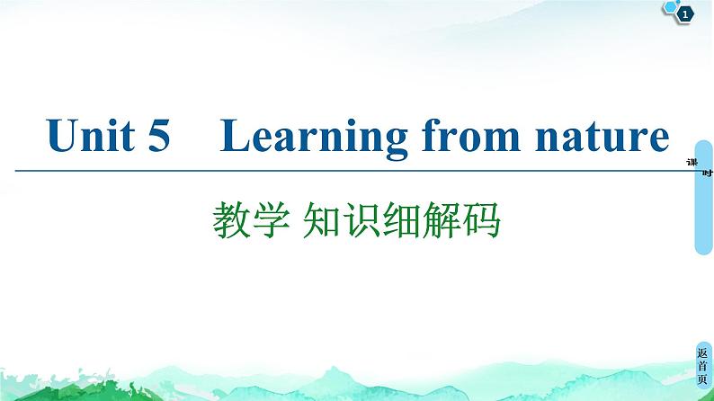 外研版（2019）高中英语 选择性必修第三册 Unit 5　Learning from nature课件+学案+作业（共19份打包）01