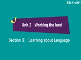 高中 英语 人教版 (新课标) 必修3&4  必修4 Unit 2 Section Ⅱ　Learning about Language 课件