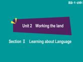 高中 英语 人教版 (新课标) 必修3&4  必修4 Unit 2 Section Ⅱ　Learning about Language 课件