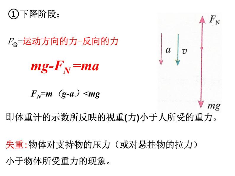 4.6 超重和失重— 【新教材】人教版(2019)高中物理必修第一册课件08