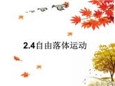 2.4 自由落体运动— 【新教材】人教版(2019)高中物理必修第一册课件(共19张PPT)