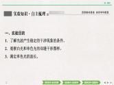 2022届新高考一轮复习人教版 第十四章  实验二十　用双缝干涉实验测量光的波长 课件（38张）