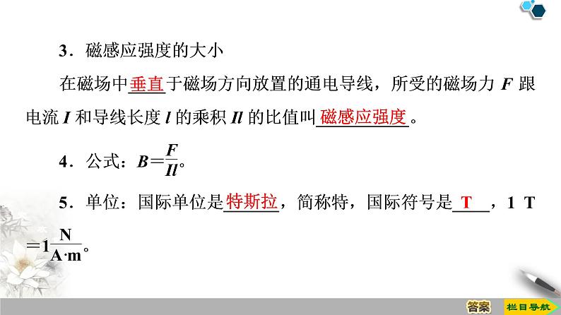 第13章 2.磁感应强度　磁通量--（新教材）2020-2021学年人教版物理必修第三册课件07