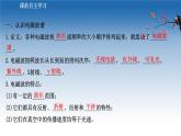新教材物理魯科版選擇性必修第二冊(cè)課件：第4章+第3節(jié)+電磁波譜（課件）