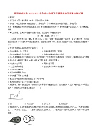 陕西省咸阳市2020_2021学年高一物理下学期期末教学质量检测试题