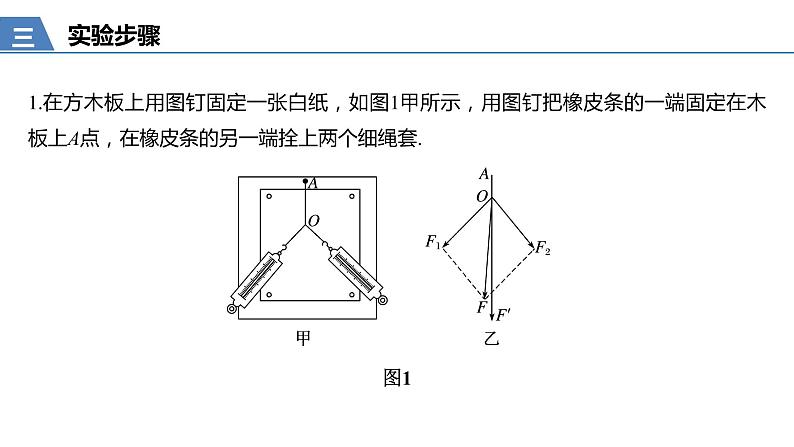 人教版（2019）高中物理必修第一册——第三章 实验：探究求合力的方法 课件ppt第7页