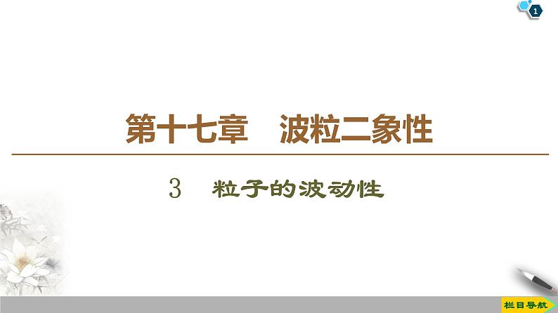 第17章 3　粒子的波动性--2021年人教版（新课标）高中物理选修3-5课件01