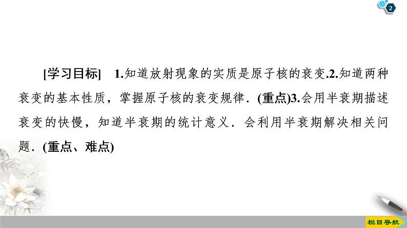 第19章 2　放射性元素的衰变--2021年人教版（新课标）高中物理选修3-5课件第2页