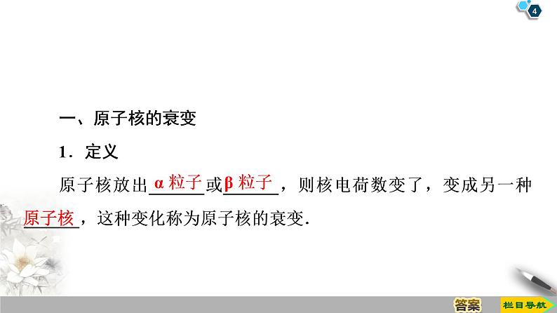 第19章 2　放射性元素的衰变--2021年人教版（新课标）高中物理选修3-5课件04