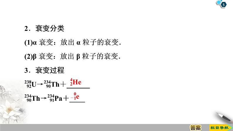 第19章 2　放射性元素的衰变--2021年人教版（新课标）高中物理选修3-5课件05