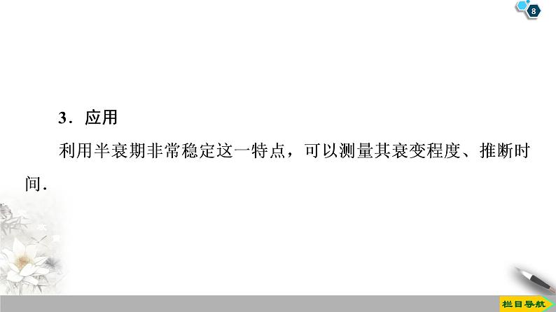 第19章 2　放射性元素的衰变--2021年人教版（新课标）高中物理选修3-5课件第8页