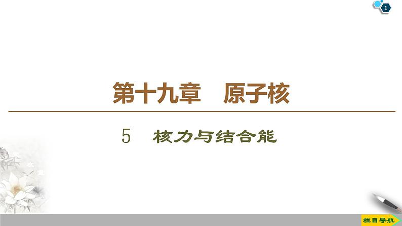 第19章 5　核力与结合能--2021年人教版（新课标）高中物理选修3-5课件第1页