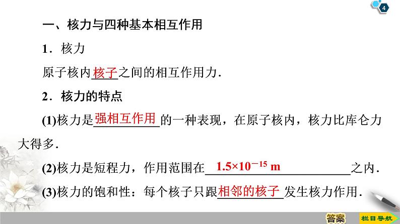 第19章 5　核力与结合能--2021年人教版（新课标）高中物理选修3-5课件第4页