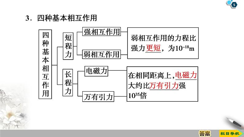 第19章 5　核力与结合能--2021年人教版（新课标）高中物理选修3-5课件第5页