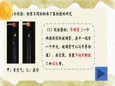 2.4 自由落体运动—【新教材】人教版（2019）高中物理必修第一册课件