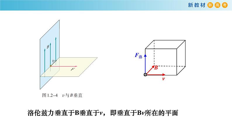 1.2磁场对运动电荷的作用力（课件）08