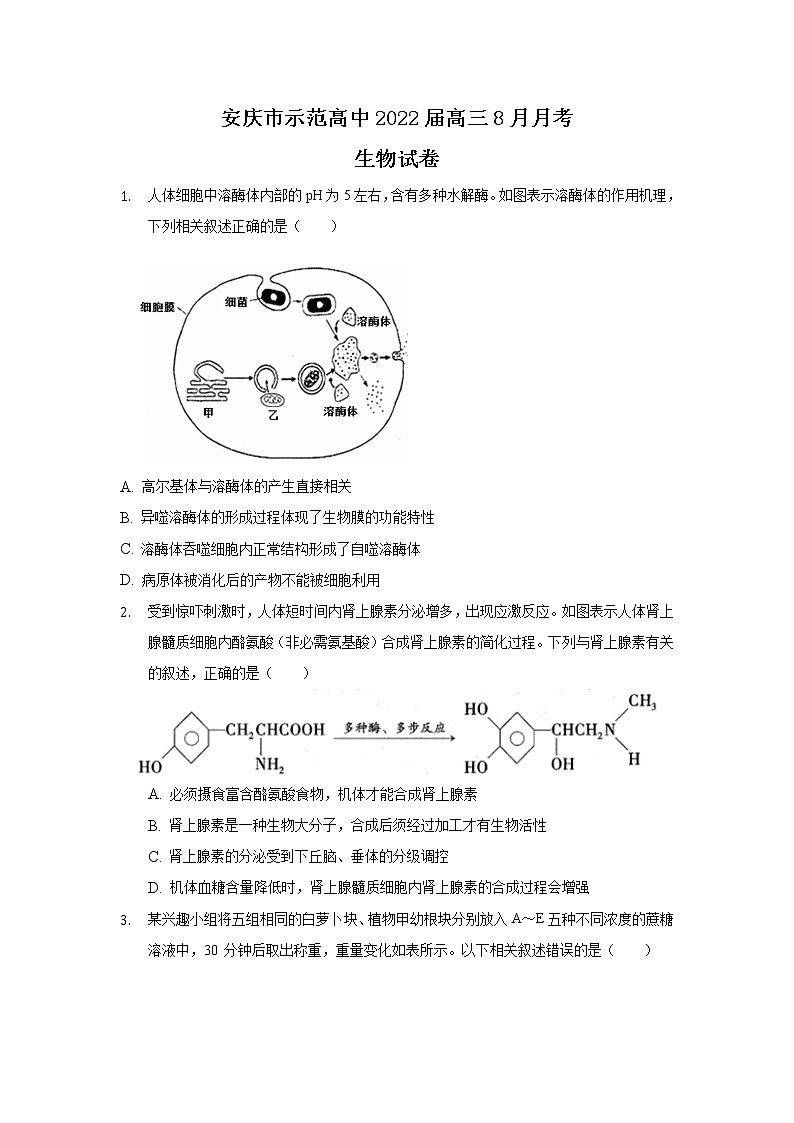 安徽省安庆市示范高中2022届高三上学期8月月考生物试题+Word版含答案第1页
