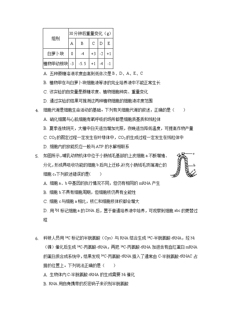 安徽省安庆市示范高中2022届高三上学期8月月考生物试题+Word版含答案第2页