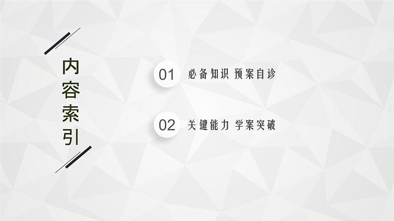 22届高中物理一轮总复习 专题2　受力分析　共点力的平衡（新高考）课件PPT第2页