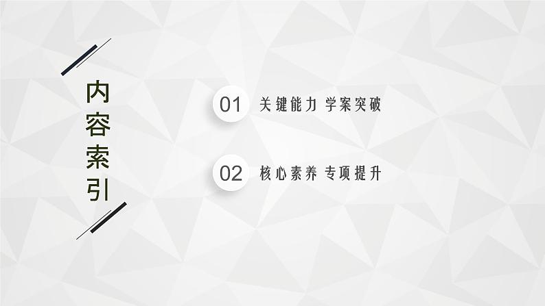 22届高中物理一轮总复习 专题4　带电粒子在电场中运动的综合问题（新高考）课件PPT02