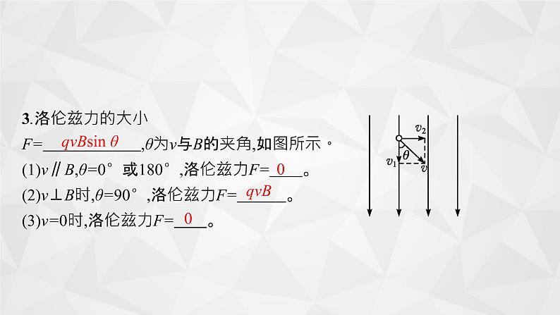 22届高中物理一轮总复习 24　磁场对运动电荷的作用（新高考）课件PPT06