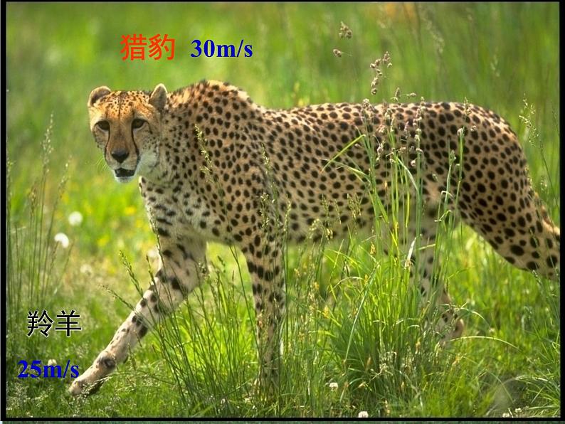 1.4《速度变化快慢的描述──加速度》课件高一上学期物理人教版(2019) 必修第一册01