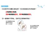 新教材高中物理人教版必修第三册课件：9.2 库仑定律