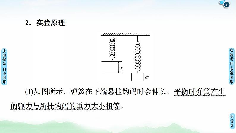 2021版高考物理大一轮复习通用版课件：第2章 实验2　探究弹力和弹簧伸长量的关系第4页