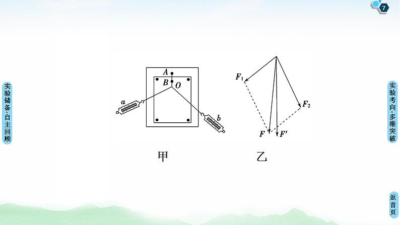 2021版高考物理大一轮复习通用版课件：第2章 实验3　验证力的平行四边形定则第7页