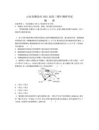 2021届山东省潍坊市高三上学期期中考试 物理 PDF版练习题