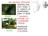 2.4 自由落体运动课件 课件-2021-2022学年高一上册物理（人教版必修一）
