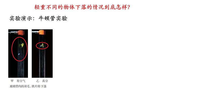 2.4 自由落体运动课件 课件-2021-2022学年高一上册物理（人教版必修一）第4页