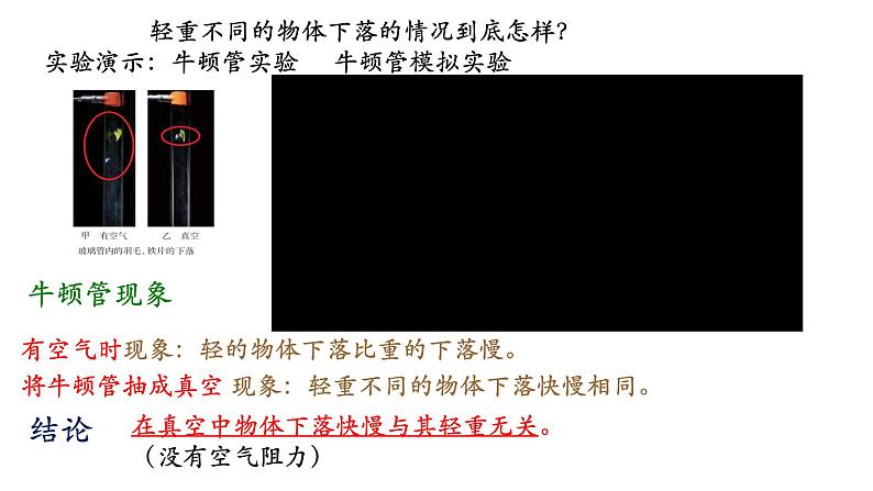 2.4 自由落体运动课件 课件-2021-2022学年高一上册物理（人教版必修一）第5页