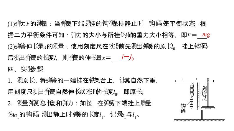 2021-2022学年高中物理新人教版必修第一册 第三章  1. 第2课时 实验：探究弹簧弹力与形变量的关系 课件（28张）03