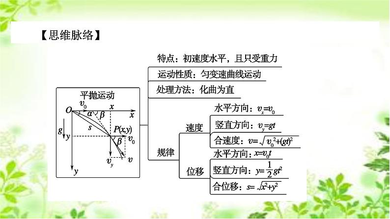 2020-2021学年高中物理新人教版 必修第二册 第5章 第4节 抛体运动的规律 课件（51张）第6页