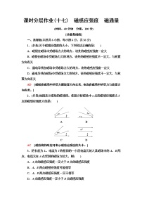 高中物理人教版 (2019)必修 第三册2 磁感应强度 磁通量复习练习题