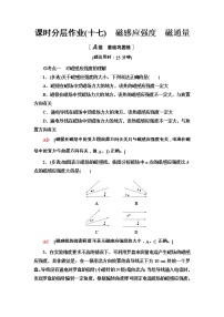 高中物理人教版 (2019)必修 第三册2 磁感应强度 磁通量练习