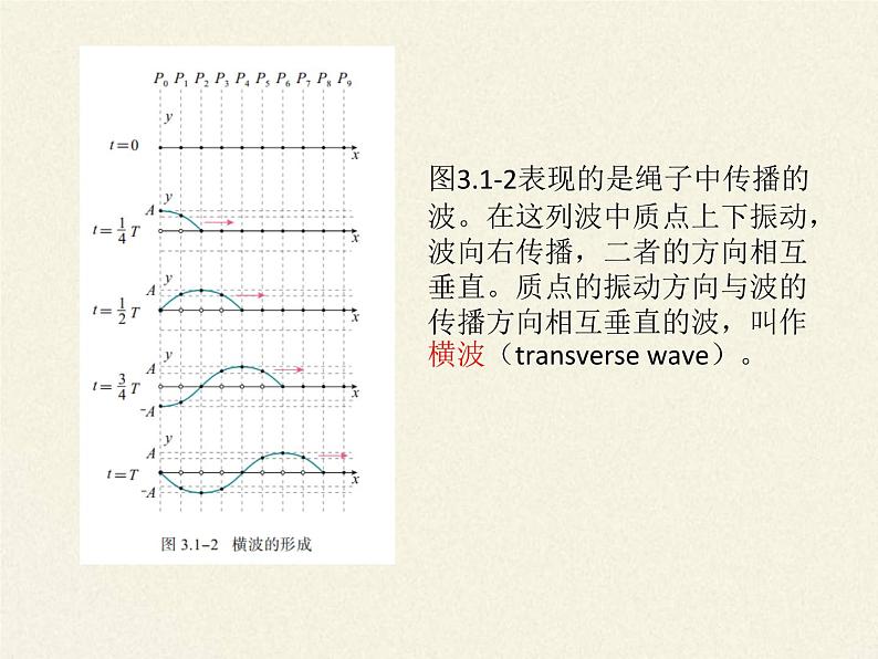 2021年高中物理新人教版选择性必修第一册 3.1 波的形成 课件（19张）08