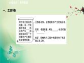 2020-2021学年高中物理新人教版选择性必修第二册 2.4 互感和自感 课件（50张）