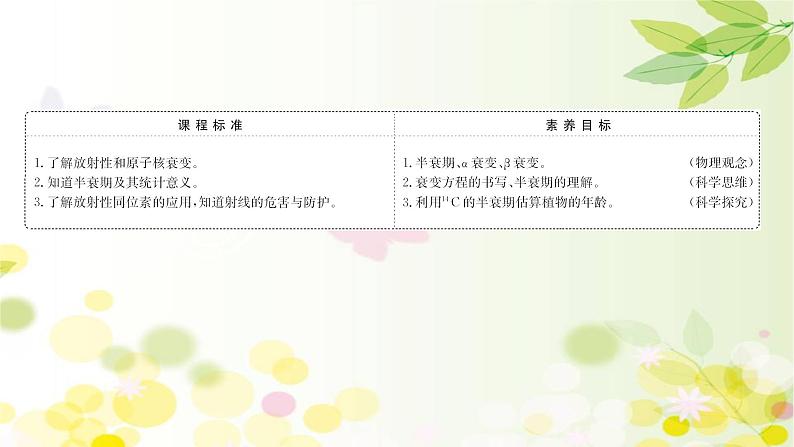 2020-2021学年高中物理新人教版选择性必修第三册 5.2  放射性元素的衰变 课件（91张）02