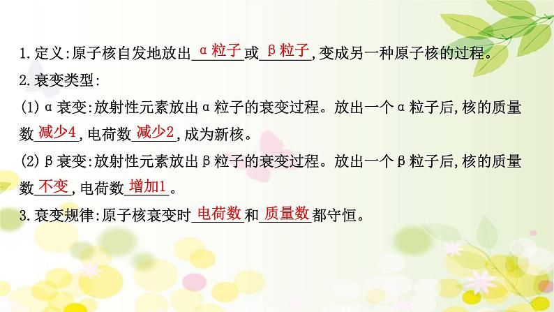 2020-2021学年高中物理新人教版选择性必修第三册 5.2  放射性元素的衰变 课件（91张）04