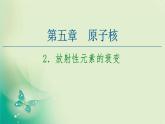 2020-2021学年高中物理新人教版选择性必修第三册 第5章 2.放射性元素的衰变 课件（73张）