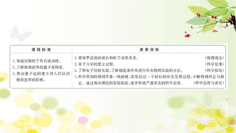 2020-2021学年高中物理新人教版 选择性必修第三册 4.5 粒子的波动性和量子力学的建立 课件（46张）第2页