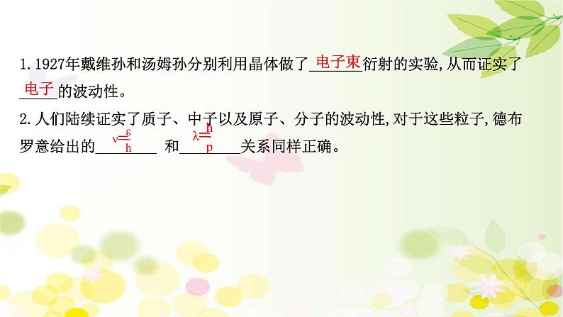 2020-2021学年高中物理新人教版 选择性必修第三册 4.5 粒子的波动性和量子力学的建立 课件（46张）第5页