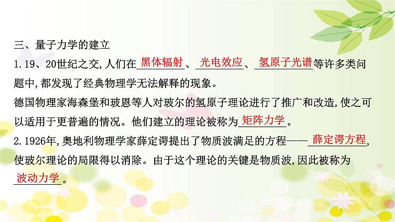 2020-2021学年高中物理新人教版 选择性必修第三册 4.5 粒子的波动性和量子力学的建立 课件（46张）第6页